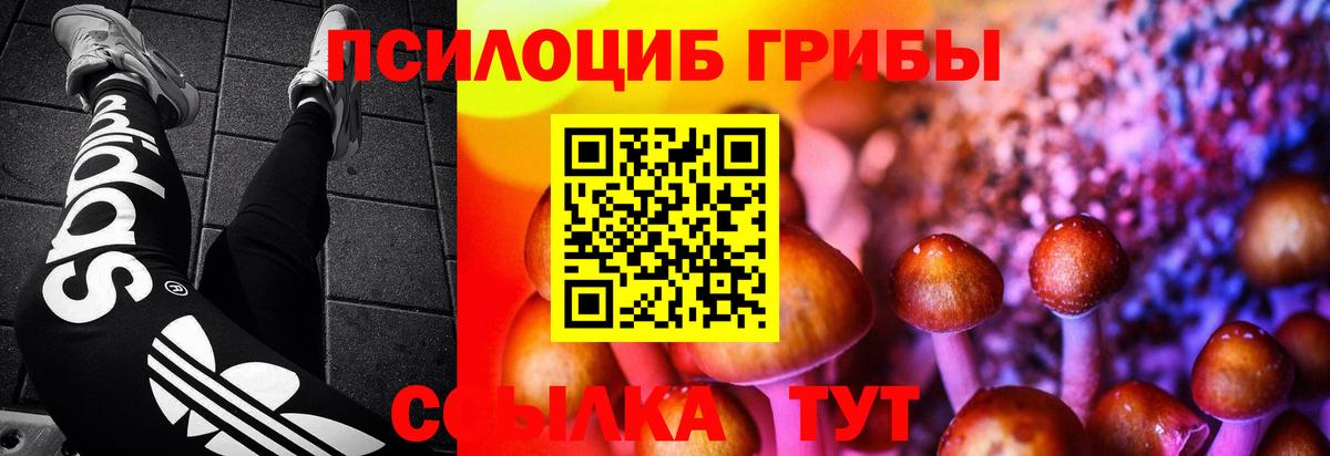 что такое   Вход с VPN  Десногорск  Псилоцибиновые грибы мицелий 